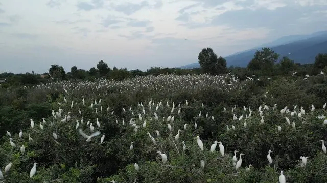 از ماجرای فوتسال بانوان تا چالش یک خانواده