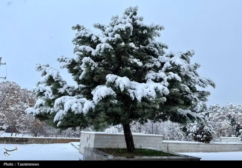 اخبار استان خراسان شمالی , 