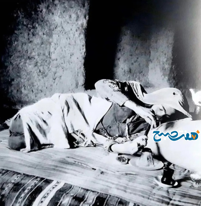 بانوی قجری