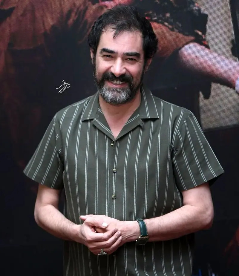 شهاب حسینی