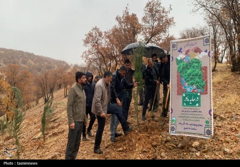 اخبار استان کهگیلویه و بویراحمد , سازمان منابع طبیعی , 