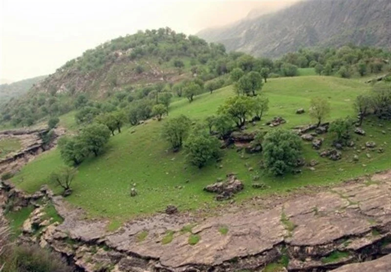 اخبار استان ایلام , سازمان میراث فرهنگی، صنایع دستی و گردشگری , وزارت میراث فرهنگی، گردشگری و صنایع دستی , 