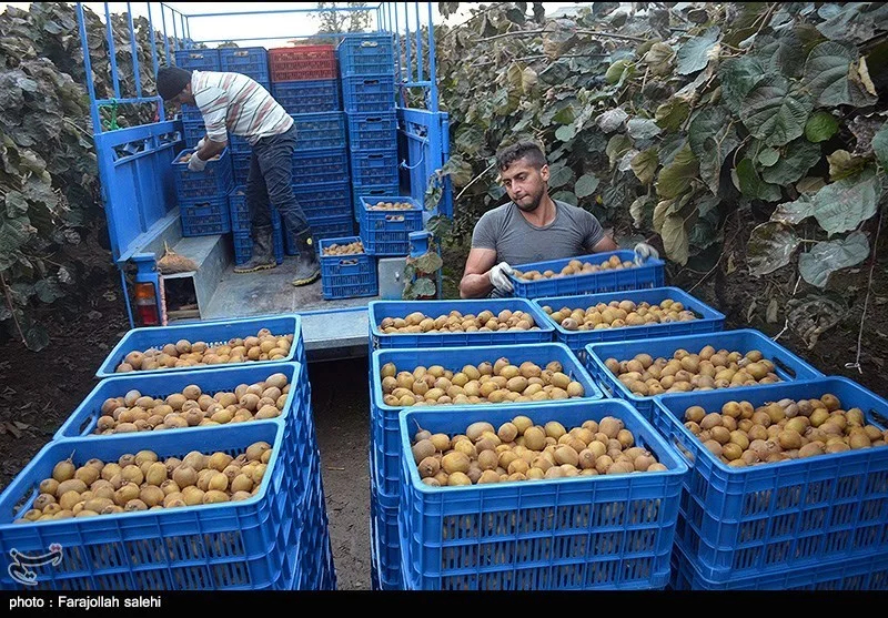 اخبار استان مازندران , اخبار ساری , نظام مسائل استان , نظام مسائل استان مازندران , 
