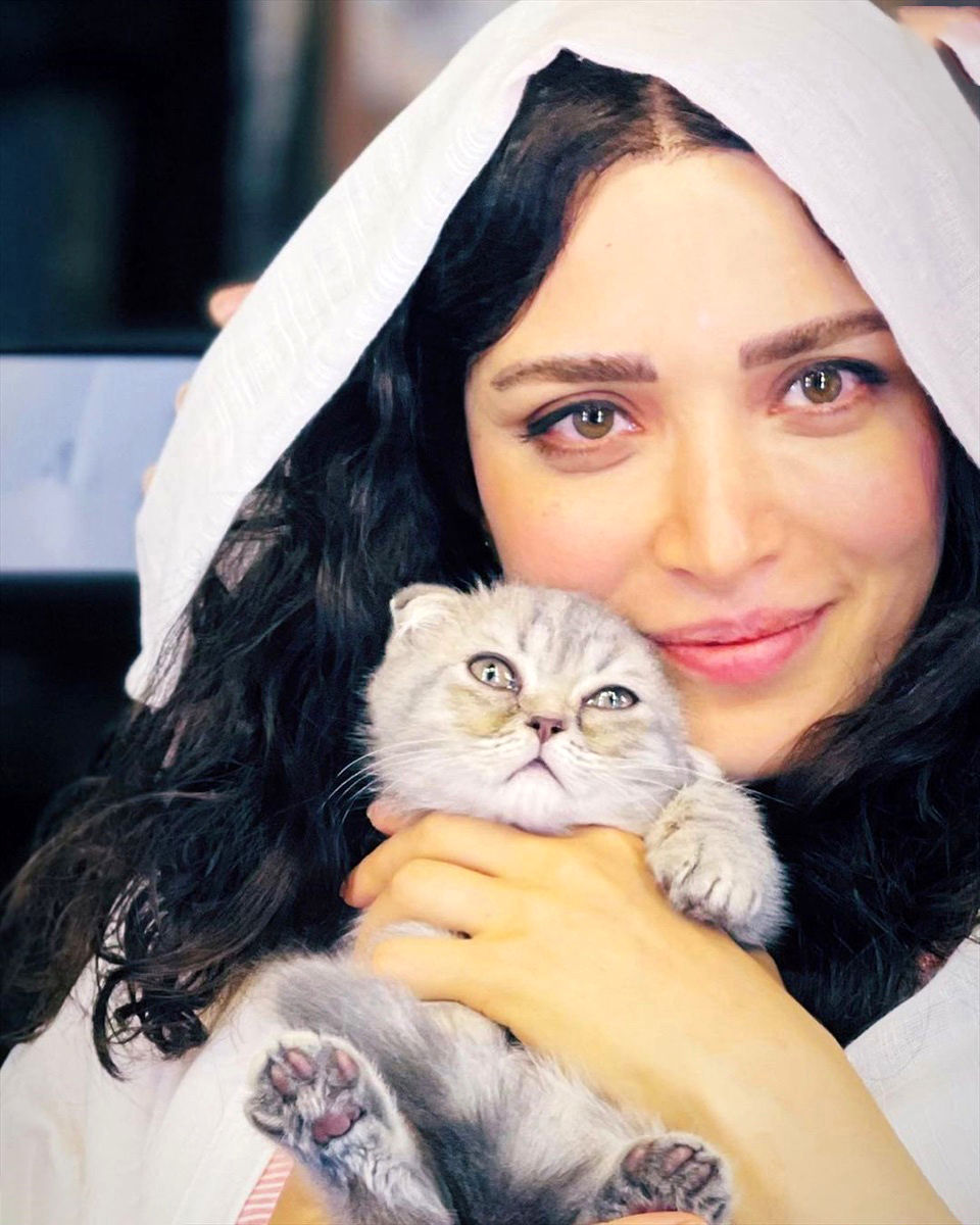 گربه بهنوش طباطبایی