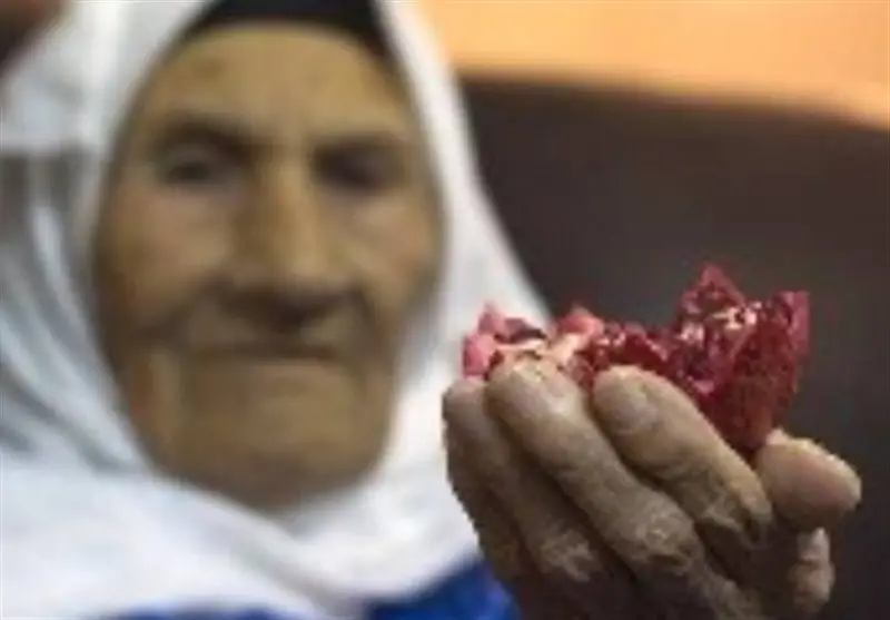 شب یلدا , اخبار استان خراسان جنوبی , مادر , سالمندان , 