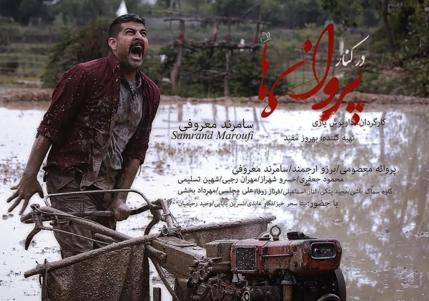 سامرند معروفی در کنار پروانه ها