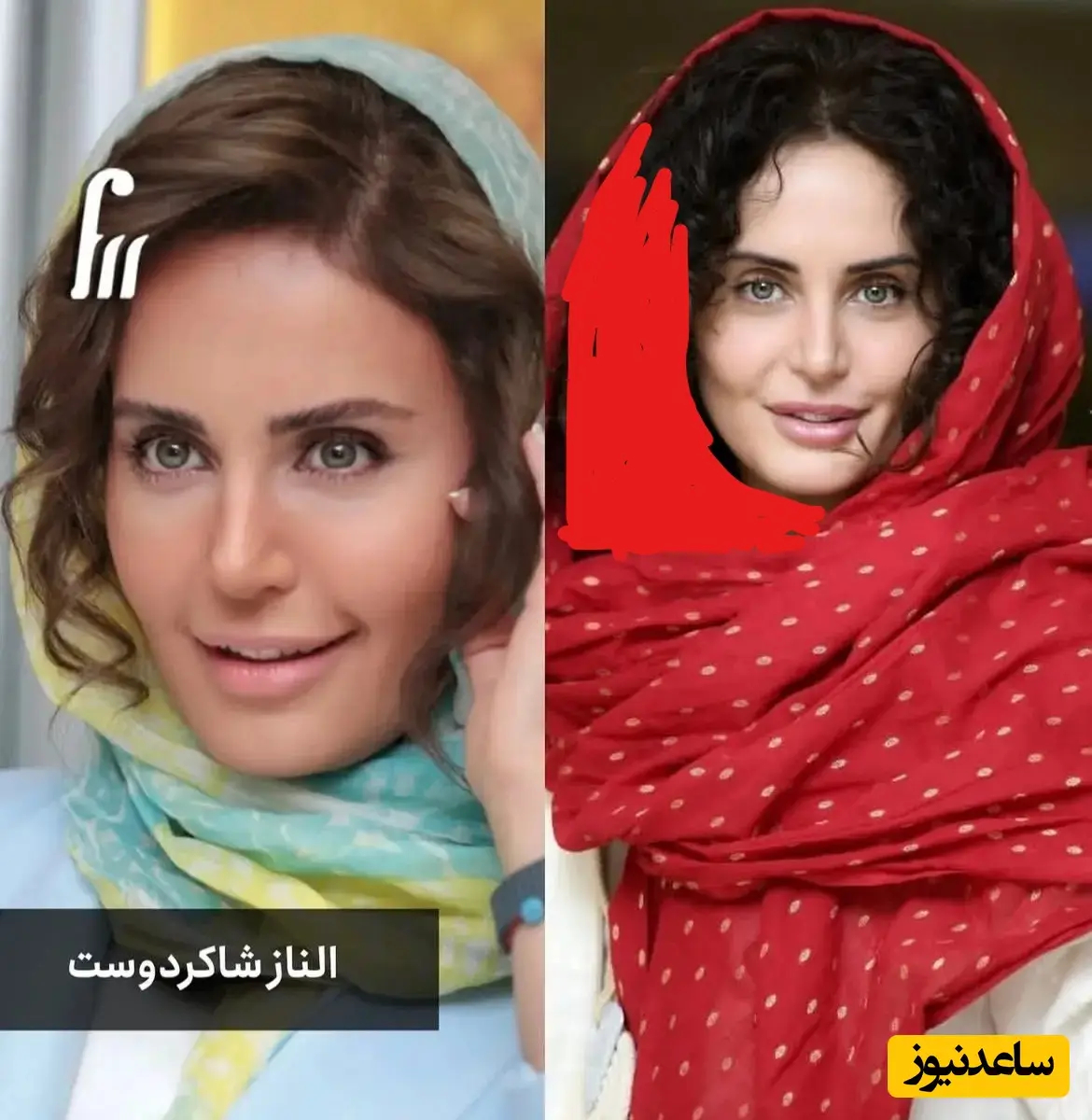 سلبریتی‌