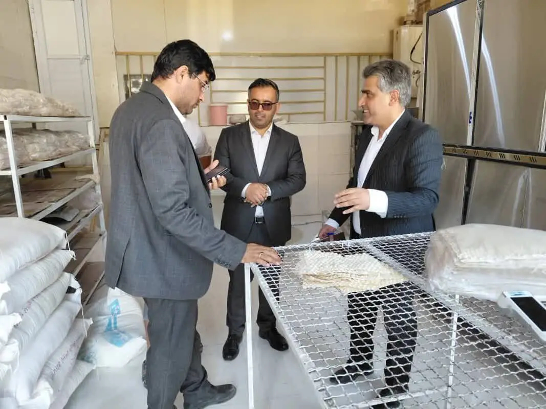 ۵ نانوایی متخلف در عسلویه پلمب شد