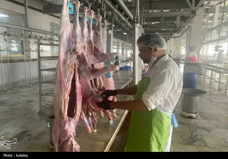 اخبار استان بوشهر , قیمت گوشت , اخبار بوشهر , 