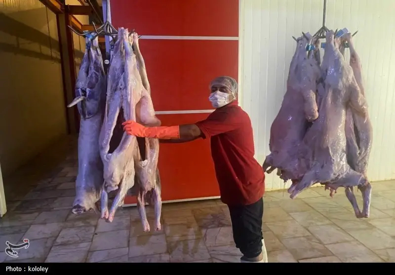 اخبار استان بوشهر , قیمت گوشت , اخبار بوشهر , 