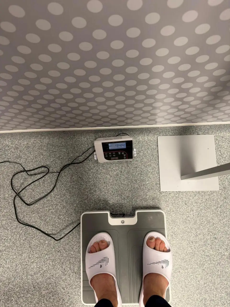 2324339