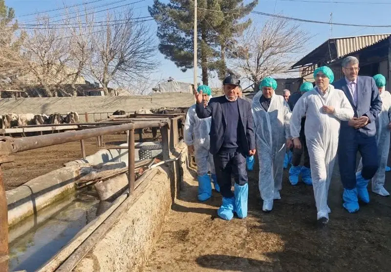 اخبار اسلامشهر , تولید ملی , کمیسیون کشاورزی مجلس , ستاد توسعه اقتصاد دانش‌بنیان غذا و کشاورزی , 