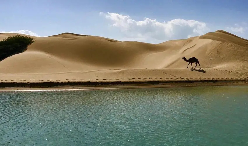 روستای درک در حاشیه دریای عمان و فاصله ۱۷۰ کیلومتری تا چابهار و ۱۲۰ کیلومتری تا مرکز شهرستان کنارک واقع شده است