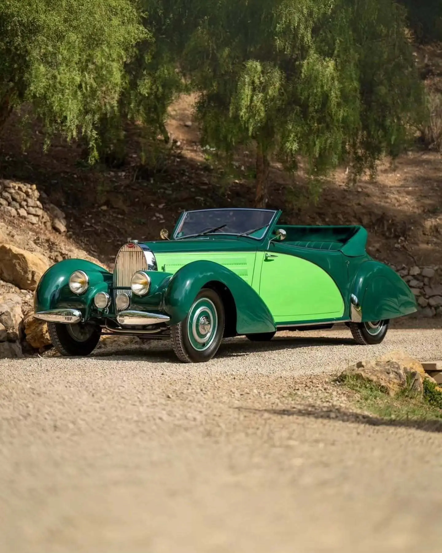 نمای جانبی خودروی کلاسیک بوگاتی تایپ ۵۷ به رنگ سبز تیره (Christmas Tree Green) در فضای نمایشگاهی حراجی ساتبیز.