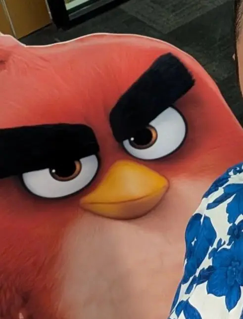 انیمیشن the Angry Birds Movie 3