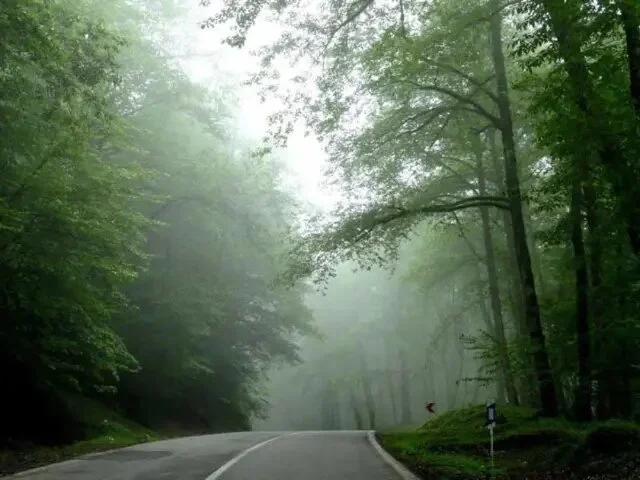 زیباترین جاده‌های ایران؛ ۱۰ مسیر دیدنی و خنک برای سفر تابستانی