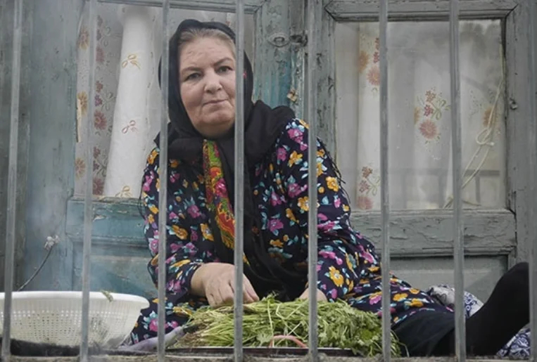 عرفان اکبری