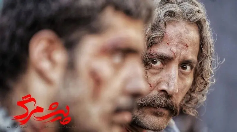 بیوگرافی آرش آصفی 3