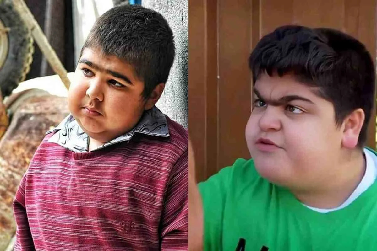 حمیدرضا حافظ شجری 