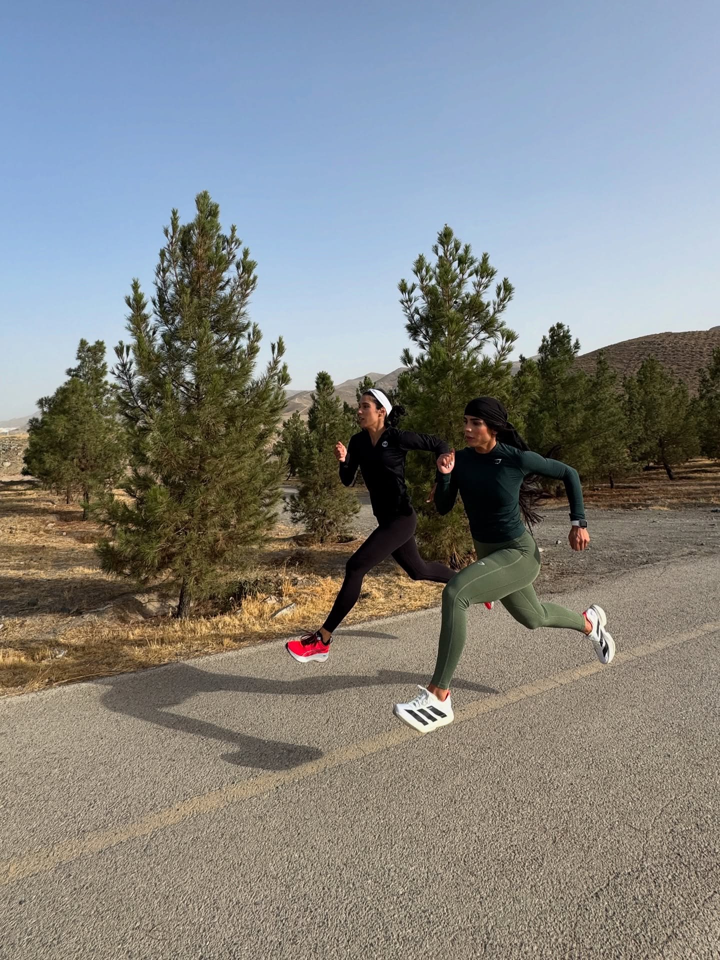 فائزه نسائی