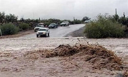 محدودیت ناگهانی تردد اتوبوس‌ها بین بوشهر و هرمزگان؛ شرایط جوی غیرمنتظره چه تاثیری داشت؟