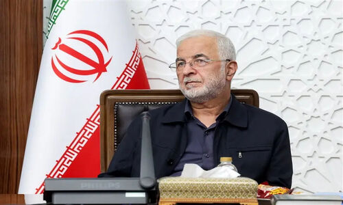 مومنی از اقدامات پیش‌دستانه دولت برای مهار خسارت‌های باران شدید رونمایی کرد