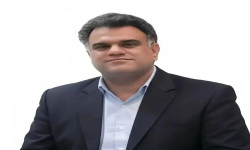استاد دانشگاه هرمزگان درخشش ملی در جشنواره پژوهشگران برتر کشور