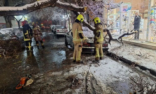 سقوط درخت تنومند بر دو خودرو در خیابان مطهری مشهد؛ هشدار جدی آتش‌نشانی به شهروندان