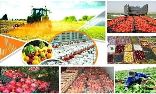 چرا بومی‌سازی مقررات بانکی کلید نجات اقتصاد خوزستان است؟