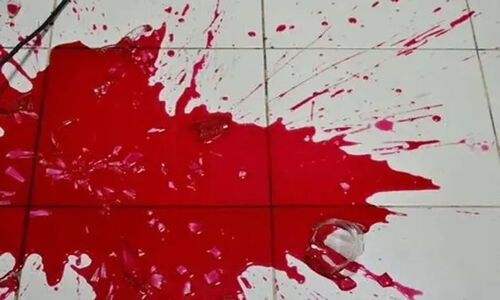قتل زن 60 ساله در مشهد با تبر و قیچی؛ راز هولناک مشاجره خانوادگی فاش شد