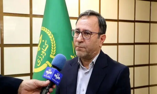 بازار لرستان غرق در مرغ و گوشت برای شب یلدا؛ ذخایر استراتژیک آماده عرضه!