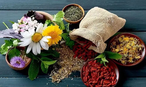 افزایش چشمگیر ۱۰۰ هکتاری کشت گیاهان دارویی در چهارمحال و بختیاری؛ ظرفیت ناب کشاورزی استان در حال شکوفایی است!