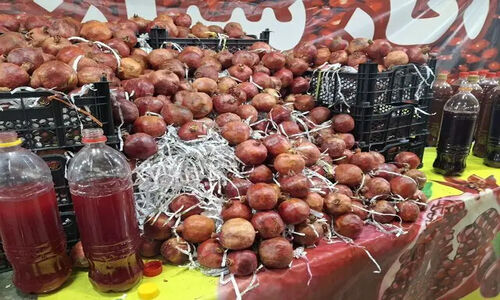 چرا بازار میوه شب یلدا در گرگان این‌قدر خلوت شد؟ کاهش چشمگیر خرید مردم در آستانه جشن سنتی