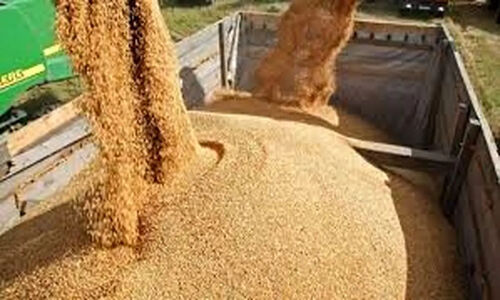 بحران ارزی در واردات کالاهای اساسی؛ ۲۰ کشتی در انتظار تخلیه اما ارز نیست!