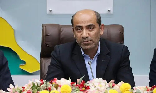اعضای هیئت اجرایی انتخابات شوراهای دشتی با رأی‌گیری رسمی مشخص شدند