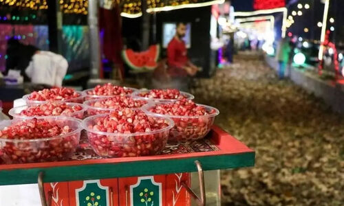 آیین‌های جذاب یلدایی در 22 نقطه پرتردد تهران؛ شاهنامه‌خوانی و موسیقی اقوام به خیابان‌ها آمد