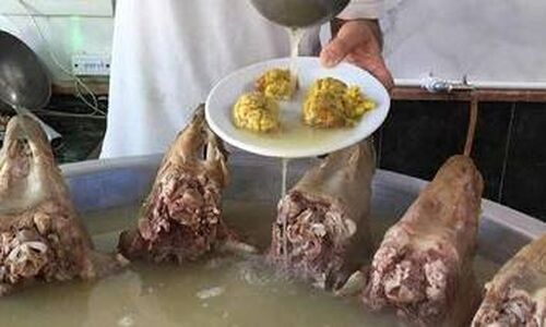 چرا کله‌پاچه‌فروشان تهران زیر فشار سنگین مالیات و هزینه‌ها رنج می‌کشند؟