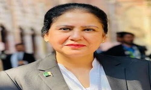 درگذشت انجم حمید؛ پژوهشگر برجسته زبان فارسی و نظامی‌پژوه پاکستان