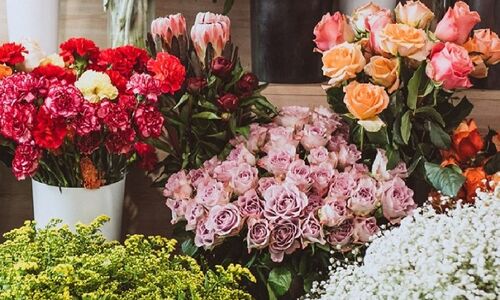 راز انتخاب گل‌های خاص برای هر مناسبت؛ تولد، عیادت و تبریک شغلی را متفاوت کنید!