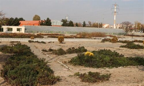 شمال‌غرب تبریز در آستانه تحول بزرگ با 7 پروژه شاخص فضای تفریحی و ورزشی