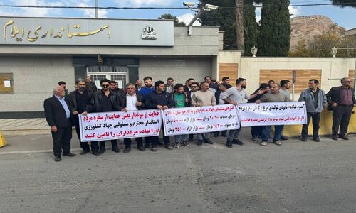 مرغداران ایلام مقابل استانداری تجمع کردند؛ کمبود سویا تهدیدی جدی برای امنیت غذایی استان