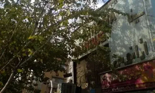 خانه چوبی جادویی در دل جنگل‌های مجارستان که طبیعت را نجات می‌دهد!