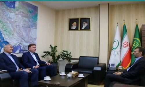استاندار بوشهر: واگذاری زمین برای احداث نیروگاه‌های خورشیدی تسریع شود