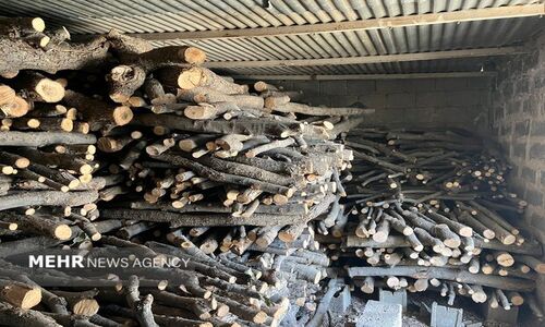 کشف حیرت‌انگیز ۲ تن چوب قاچاق در بهارستان توسط پلیس!