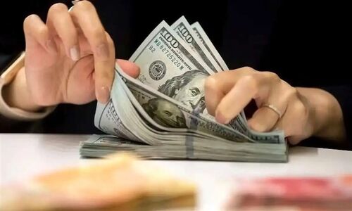 رمزگشایی از جهش دلار؛ تورم یا دلالان؟ محقق‌نیا پاسخ می‌دهد!