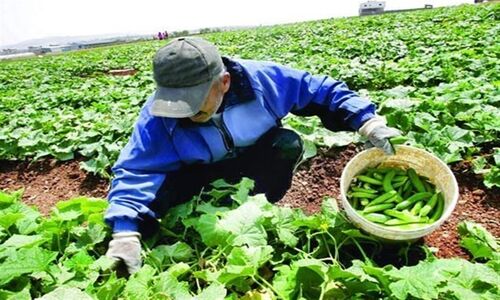 چطور بسته‌های تکنولوژی به زبان محلی، روستاهای خشک ایران را از بحران آب نجات می‌دهند؟
