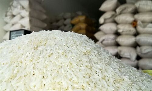 بازار برنج در بحران؛ مجلس دولت را به پاسخگویی فوری فراخواند!