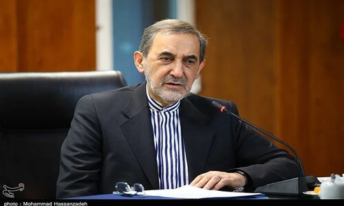 دیدار وزیر تحصیلات عالی افغانستان با ولایتی