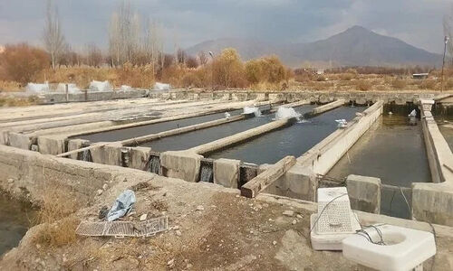 هشدار به مزارع پرورش ماهی ازنا در پی احتمال وقوع سیلاب
