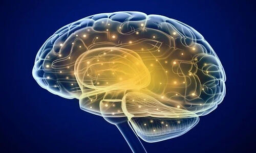 آزمایش «کلاهخود خدا»؛ آیا ادعای پرسینگر درباره دین و علم به چالش کشیده شد؟